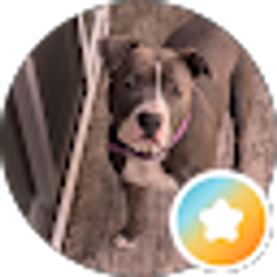 Profile photo of Carri Christianson