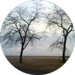 Profile photo of Fabia Griffin