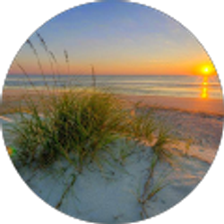 Profile photo of elizabeth whitmore