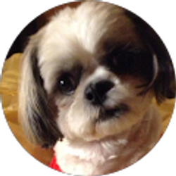 Profile photo of Adele W