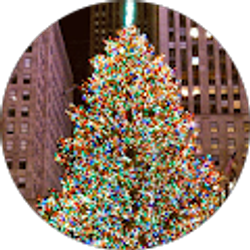 Profile photo of Tony Campanella