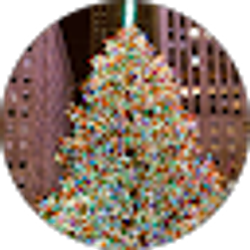 Profile photo of Tony Campanella