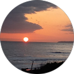 Profile photo of P Iabichella