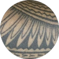 Profile photo of Phil Tapuro