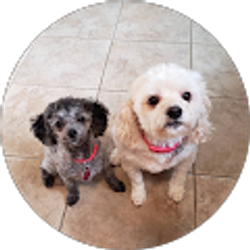 Profile photo of Carrie Busby Howell