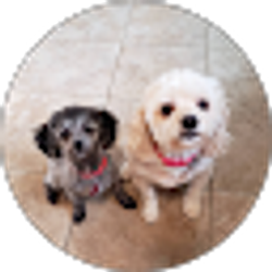 Profile photo of Carrie Busby Howell