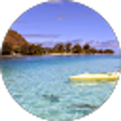 Profile photo of Sonia Estevez