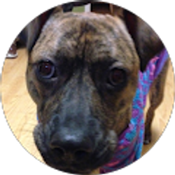 Profile photo of Alfonso Felton