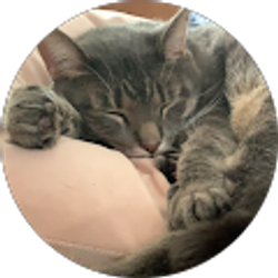 Profile photo of Abbie Bauer