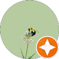 Profile photo of Amber