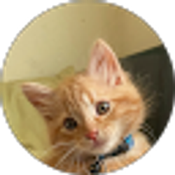 Profile photo of Maria L