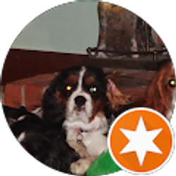 Profile photo of Ellen Donehoo