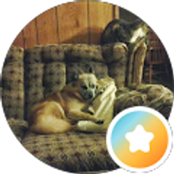 Profile photo of Cheryl Davis