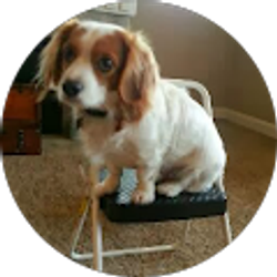 Profile photo of Todd Phillips