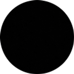 Profile photo of Damian Soto