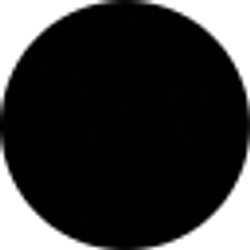 Profile photo of Damian Soto