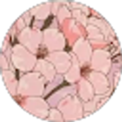 Profile photo of Anastaisha Rivera
