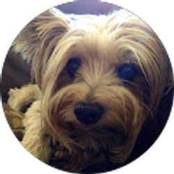 Profile photo of Christi Parry