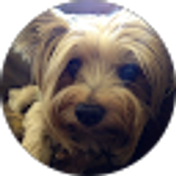 Profile photo of Christi Parry