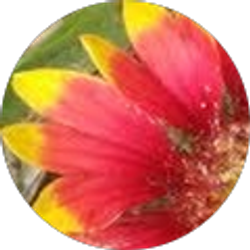 Profile photo of Jimmy or Gina Minyard