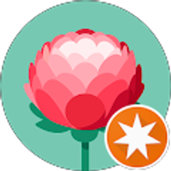 Profile photo of K M