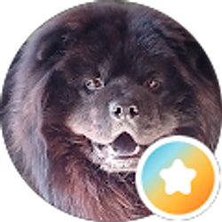 Profile photo of Xerxes Zorro