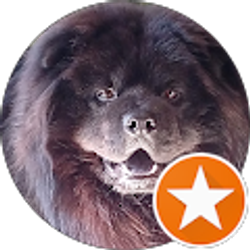 Profile photo of Xerxes Zorro
