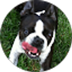 Profile photo of buddy reeves