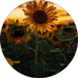 Profile photo of Mili