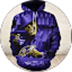 Profile photo of RAVENS 2025