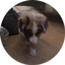 Profile photo of Lily Mann