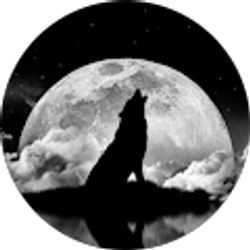 Profile photo of Millie Darquea