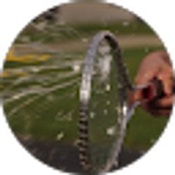 Profile photo of K M