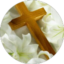 Profile photo of Jeanette Tanner