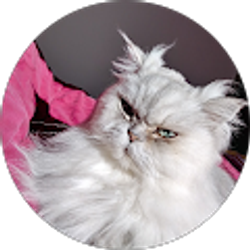 Profile photo of Mark Wise