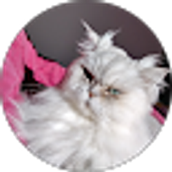 Profile photo of Mark Wise