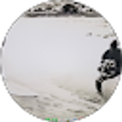 Profile photo of Phil Wilson