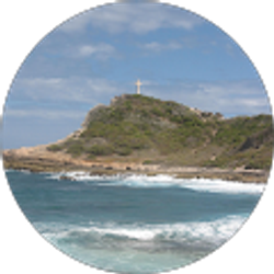 Profile photo of D Rodriguez