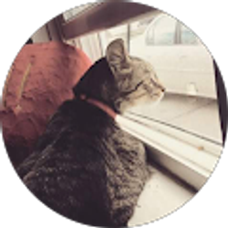 Profile photo of Kayla Herrygers