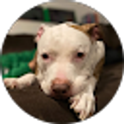 Profile photo of Sarah Petersen