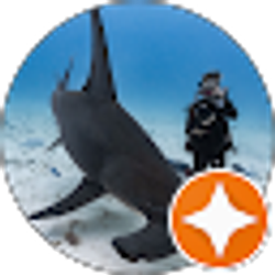 Profile photo of Sammy Bledsoe