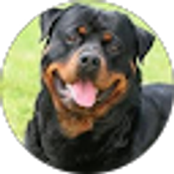 Profile photo of Danielle Denardo