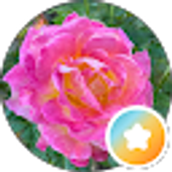 Profile photo of Shaila