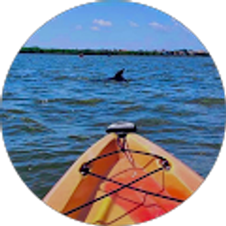 Profile photo of Allison Pepper