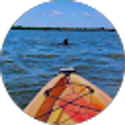 Profile photo of Allison Pepper