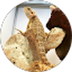 Profile photo of Omar Ramos