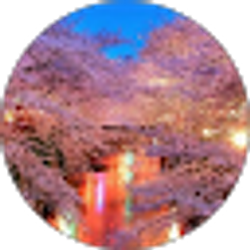 Profile photo of Sasha
