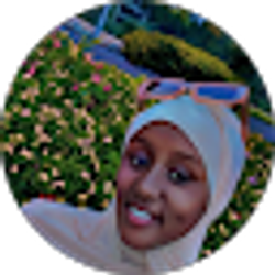Profile photo of Ahmed Garane
