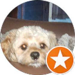 Profile photo of T Eash