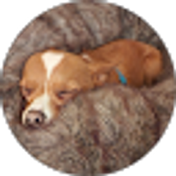 Profile photo of Mimi
